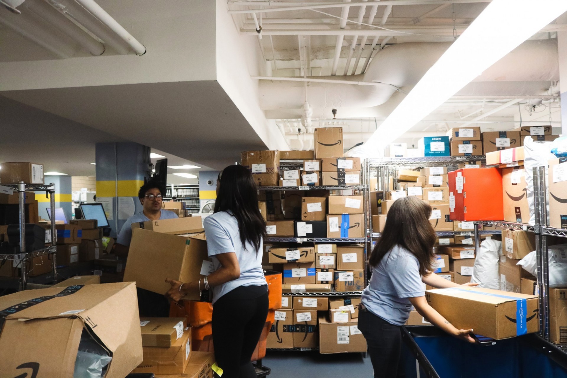 Mail room employees sorting packages