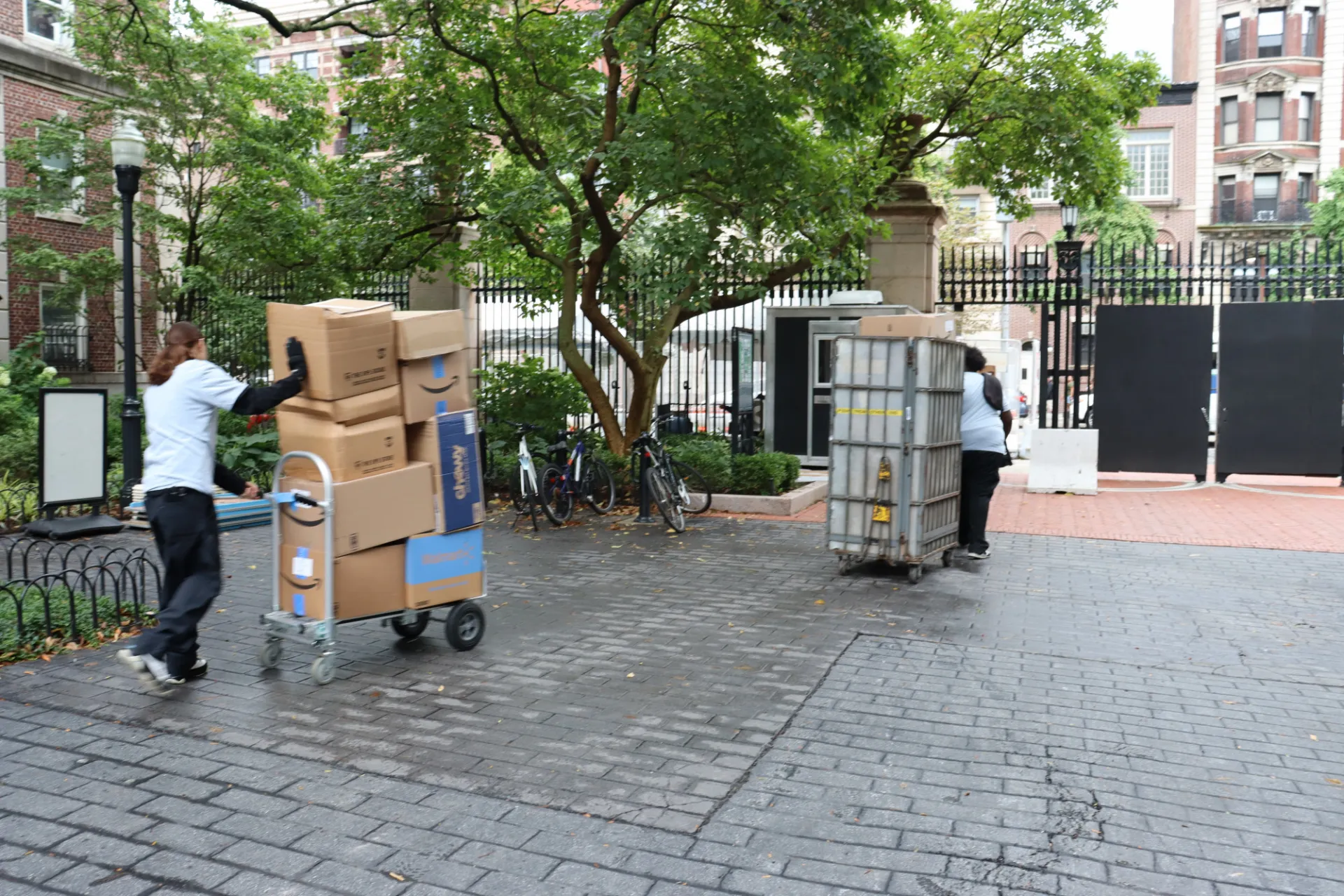 Packages on carts leaving Wien Courtyard to be loaded in van
